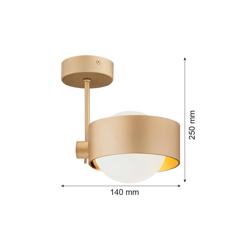 Argon 8568 - Kúpeľňový luster na tyči MASSIMO PLUS 1xG9/6W/230V IP44 zlatá