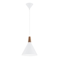 Argon 8630 - Luster na lanku KEGEL 1xE27/15W/230V biela