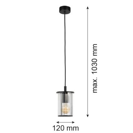 Argon 8751 - Vonkajší luster na lanku NORFOLK 1xE27/15W/230V IP44 čierna