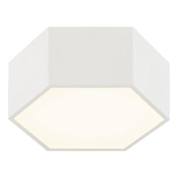 Argon 8781 - LED Stropné svietidlo LIBERO LED/12W/230V 3000K biela