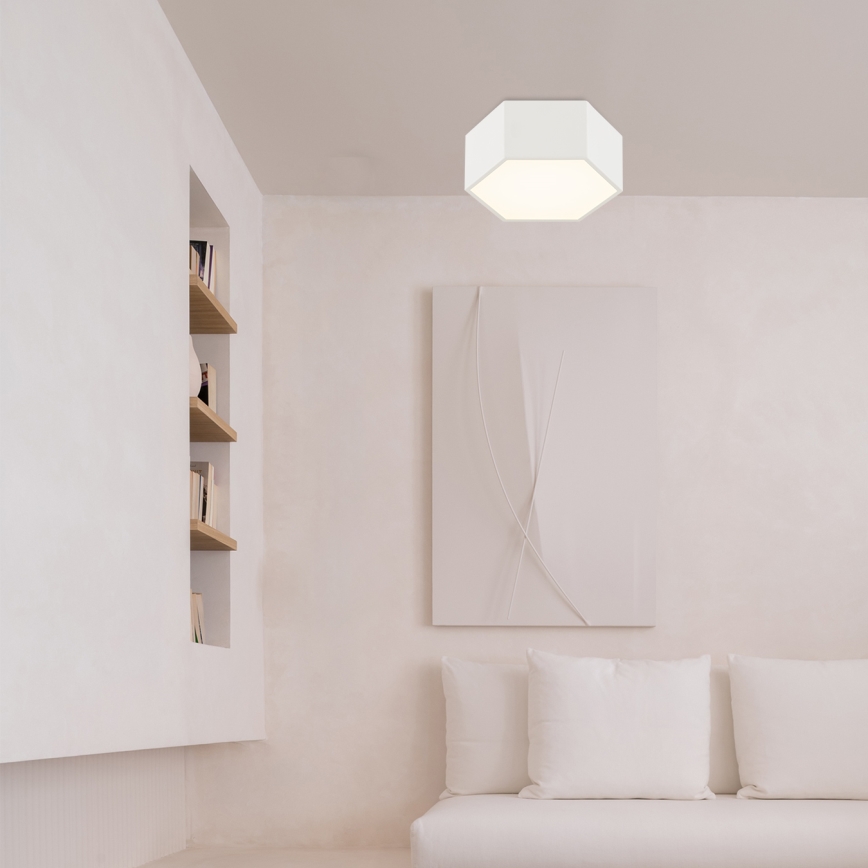 Argon 8781 - LED Stropné svietidlo LIBERO LED/12W/230V 3000K biela