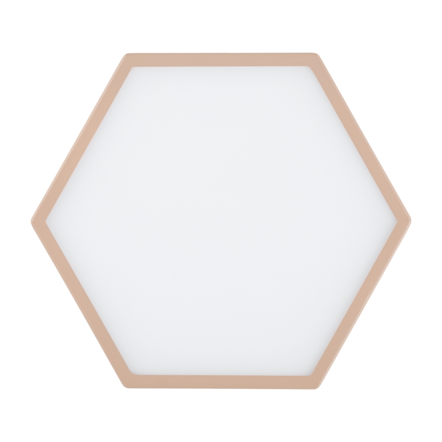 Argon 8782 - LED Stropné svietidlo LIBERO LED/12W/230V 3000K krémová
