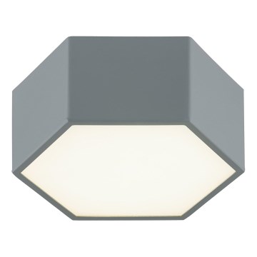 Argon 8784 - LED Stropné svietidlo LIBERO LED/12W/230V 3000K šedá
