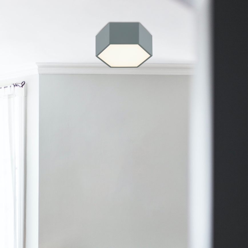 Argon 8784 - LED Stropné svietidlo LIBERO LED/12W/230V 3000K šedá