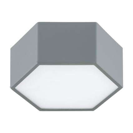 Argon 8784 - LED Stropné svietidlo LIBERO LED/12W/230V 3000K šedá