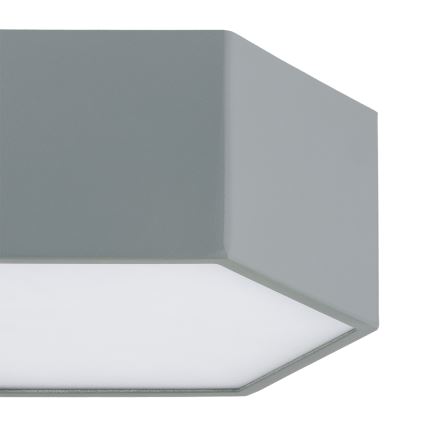 Argon 8784 - LED Stropné svietidlo LIBERO LED/12W/230V 3000K šedá