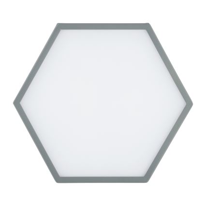 Argon 8784 - LED Stropné svietidlo LIBERO LED/12W/230V 3000K šedá