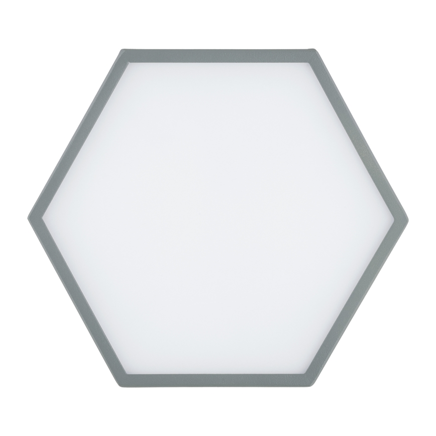 Argon 8784 - LED Stropné svietidlo LIBERO LED/12W/230V 3000K šedá