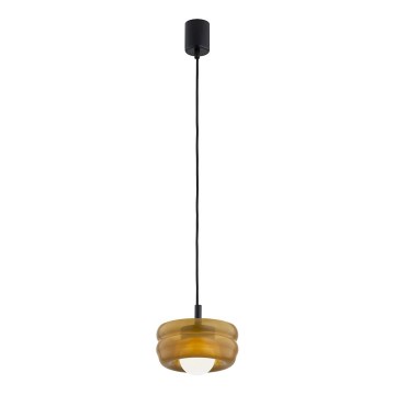 Argon 8816 - Luster na lanku TEVO 1xG9/4,5W/230V hnedá/dymová