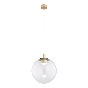 Argon 8828 - Luster na lanku SACRAMENTO 1xGX53/8W/230V číra/zlatá