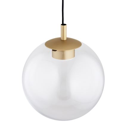 Argon 8828 - Luster na lanku SACRAMENTO 1xGX53/8W/230V číra/zlatá