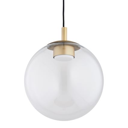 Argon 8828 - Luster na lanku SACRAMENTO 1xGX53/8W/230V číra/zlatá