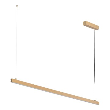 Argon 8836 - LED Luster na lanku MIAMI LED/37W/230V 3000K zlatá
