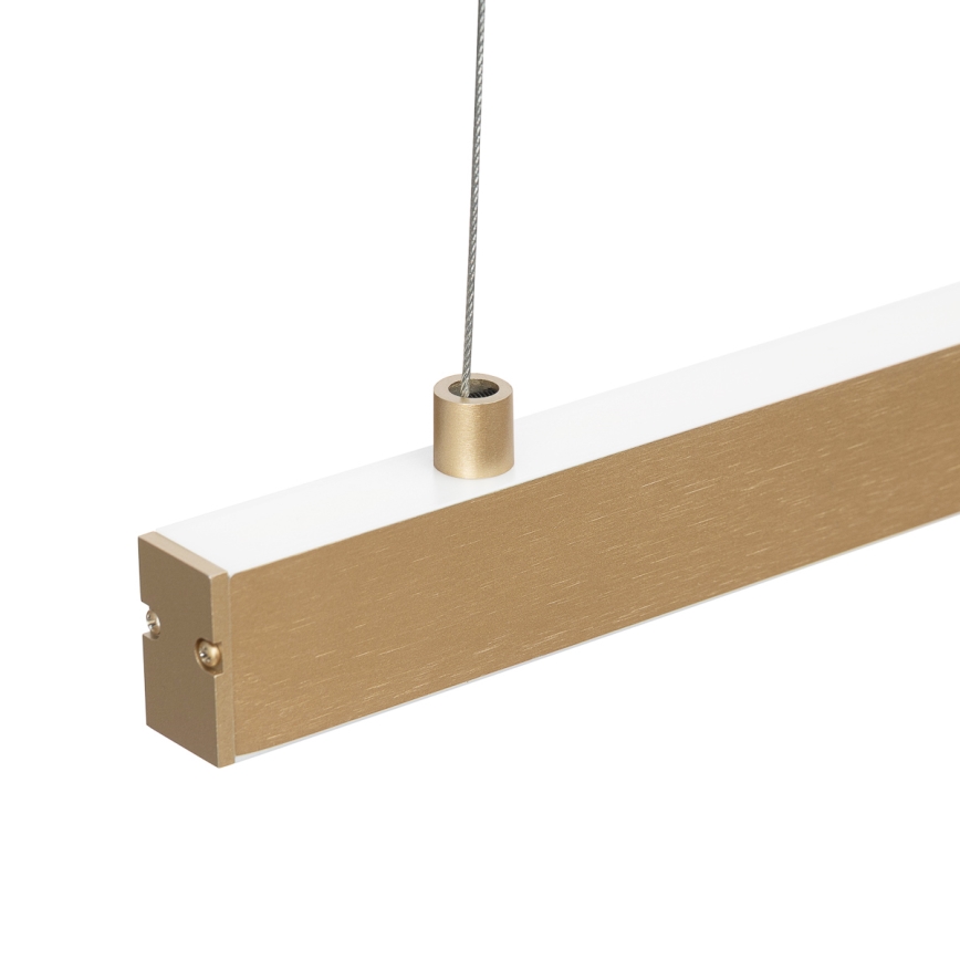 Argon 8836 - LED Luster na lanku MIAMI LED/37W/230V 3000K zlatá
