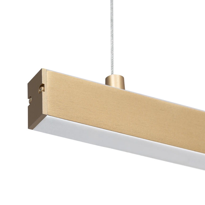 Argon 8836 - LED Luster na lanku MIAMI LED/37W/230V 3000K zlatá
