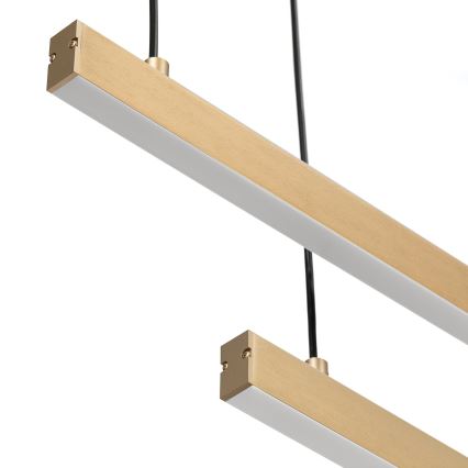 Argon 8839 - LED Luster na lanku MIAMI LED/74W/230V 3000K zlatá