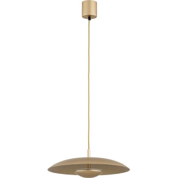 Argon 8869 - LED luster na lankách BOLTON LED/12,5W/230V 3000K zlatý