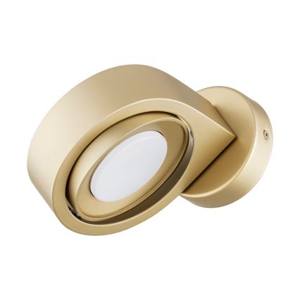 Argon 8899 - Nástenné svietidlo LOTUS 1xGX53/12W/230V zlaté