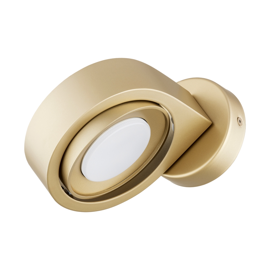 Argon 8899 - Nástenné svietidlo LOTUS 1xGX53/12W/230V zlaté