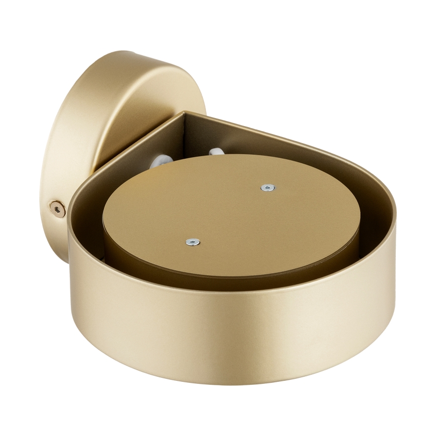 Argon 8899 - Nástenné svietidlo LOTUS 1xGX53/12W/230V zlaté