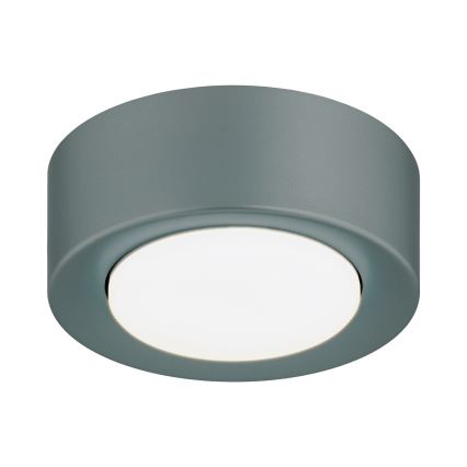 Argon 8917 - Stropné svietidlo ELORA 1xGX53/7W/230V Ø 11 cm sivé