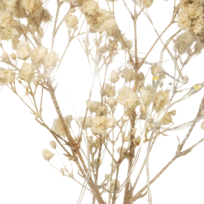 Atmosphera - LED Stolná lampa MICRO LED/2xAAA