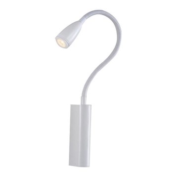 Azzardo AZ1547 - LED Kúpeľňové nástenné bodové svietidlo VERONICA 1xLED/3W/230V