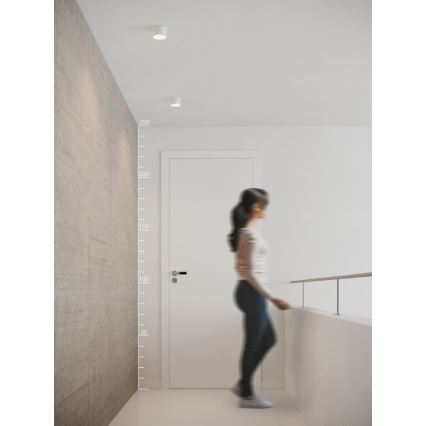 Žena kráča chodbou s betónovou stenou a bielymi dverami. Na strope sú tri zapustené bodové svetlá. Na stene je umiestnená mierka v centimetroch (50, 100, 150, 200, 250).