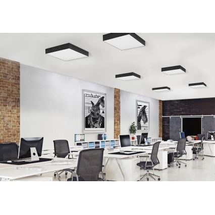 Štvorcové svietidlá osvetľujú kanceláriu. Svietidlá sú zapustené do stropu. Kancelária obsahuje pracovné stoly, stoličky a obrazy na stenách.