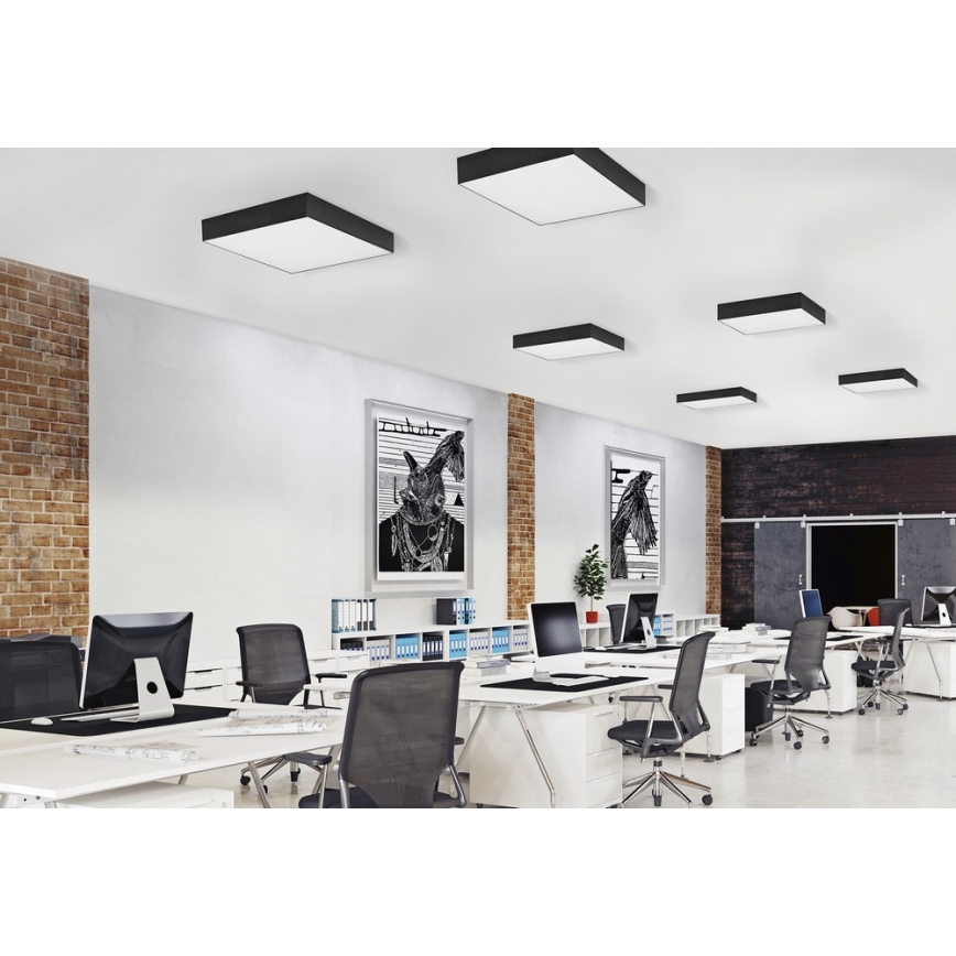 Štvorcové svietidlá osvetľujú kanceláriu. Svietidlá sú zapustené do stropu. Kancelária obsahuje pracovné stoly, stoličky a obrazy na stenách.