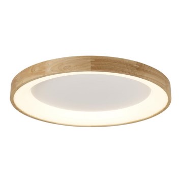 Azzardo AZ2698 - LED stropné svietidlo SILVAM LED/50W/230V