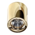 Azzardo AZ2846 - LED Stropné svietidlo MANE LED/10W/230V