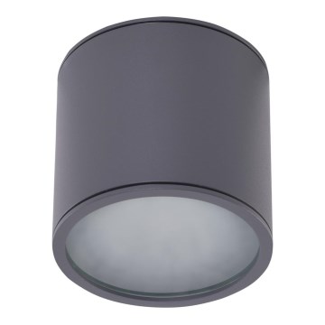 Azzardo AZ4057 - Bodové svietidlo ALIX 1xGU10/50W/230V šedá