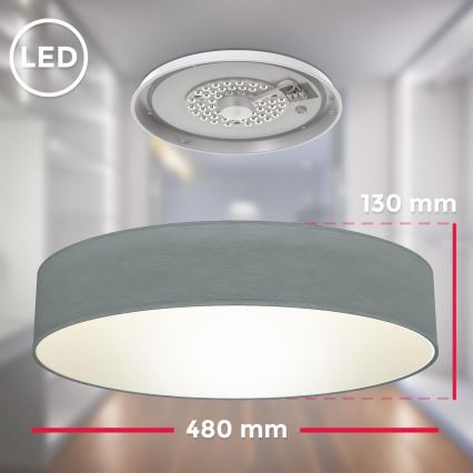 B.K. Licht 1393 - LED Stropné svietidlo LED/20W/230V šedá