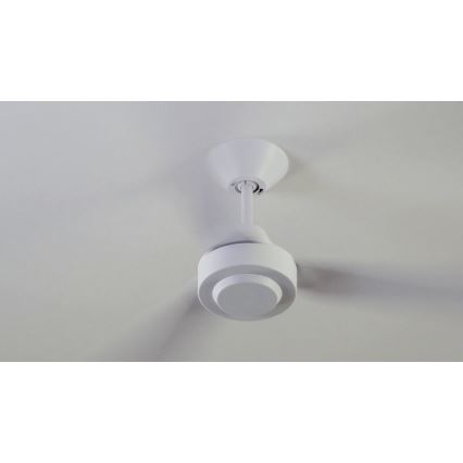 BAYSIDE 213015 - Stropný ventilátor CALYPSO biela