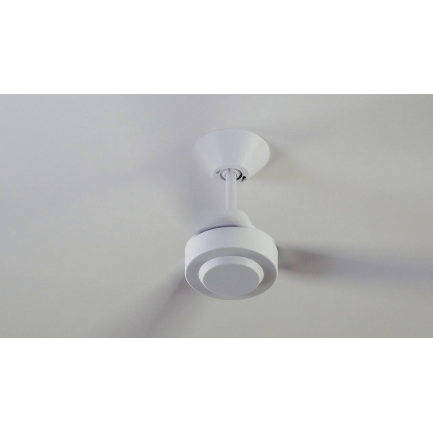 BAYSIDE 213015 - Stropný ventilátor CALYPSO