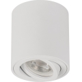 Bodové svietidlo BORD ONE 1xGU10/10W/230V biela