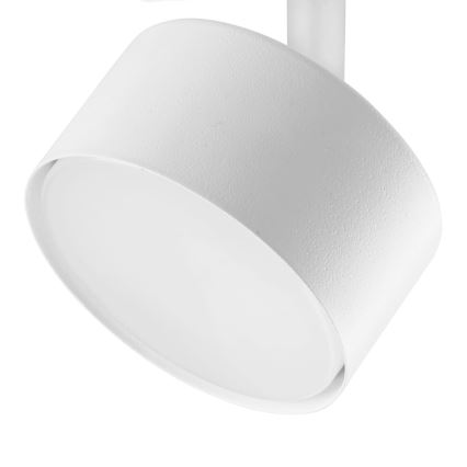 Bodové svietidlo do 1-fázového lištového systému AVIA 1xGX53/15W/230V biela