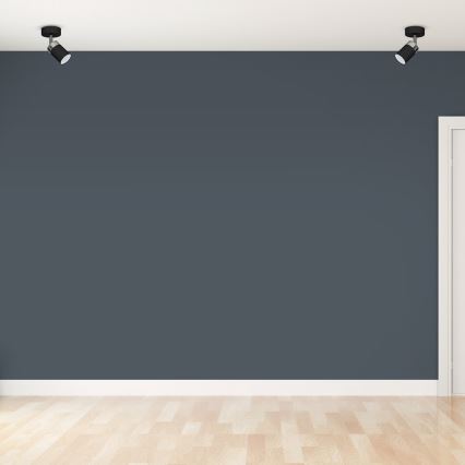 Široká tmavosivá stena je osvetlená dvoma stropnými bodovými svetlami. Svetlá stena sa nachádza v miestnosti s svetlou drevenou podlahou a bielymi soklíkmi. Vpravo je viditeľný biely kúsok dverí.