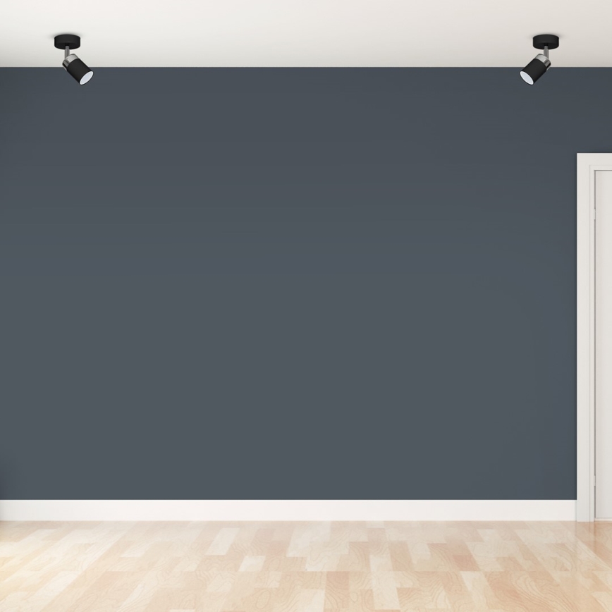 Široká tmavosivá stena je osvetlená dvoma stropnými bodovými svetlami. Svetlá stena sa nachádza v miestnosti s svetlou drevenou podlahou a bielymi soklíkmi. Vpravo je viditeľný biely kúsok dverí.