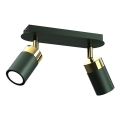 Bodové svietidlo JOKER 2xGU10/25W/230V zelená/zlatá