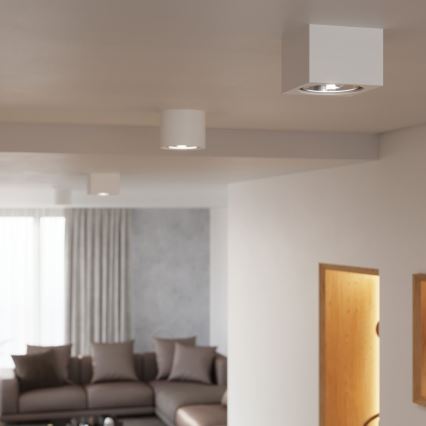 Bodové svietidlo KALU 1xGU10/40W/230V