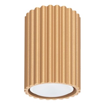 Bodové svietidlo KARBON 1xGU10/10W/230V 10 cm zlatá