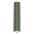 Bodové svietidlo KARBON 1xGU10/10W/230V 30 cm zelená