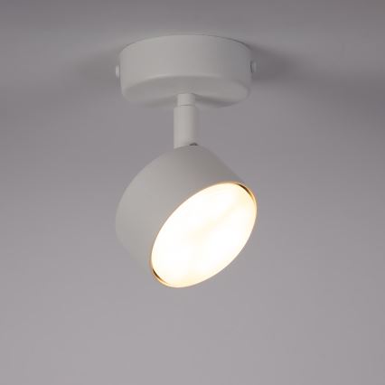 Bodové svietidlo NEMO 1xGX53/12W/230V biela