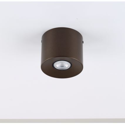 Bodové svietidlo ORION 1xGU10/10W/230V 9 cm hnedé