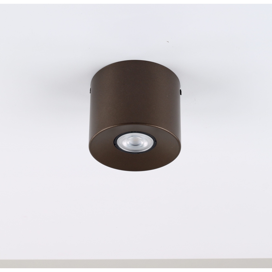 Bodové svietidlo ORION 1xGU10/10W/230V 9 cm hnedé