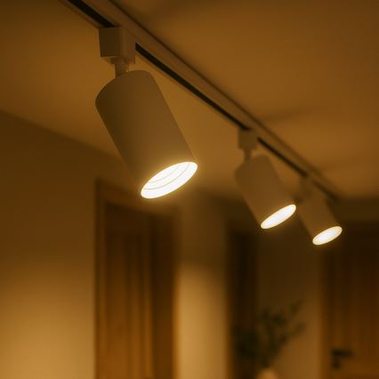 Bodové svietidlo pre jednofázový lištový systém TIGER 1xGU10/10W/230V biele