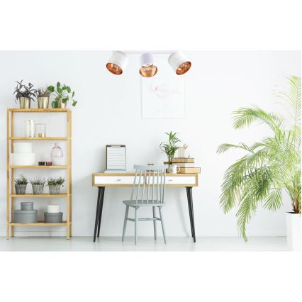 Trojité svietidlo s bielymi a medenými tienidlami je pripevnené k stropu nad pracovným stolom. Stolík s drevenou doskou a čiernymi kovovými nohami stojí v svetlej miestnosti s izbovými rastlinami a regálom.