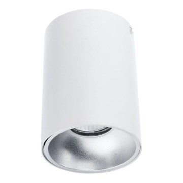 Bodové svietidlo TUBA 1xGU10/50W/230V biela
